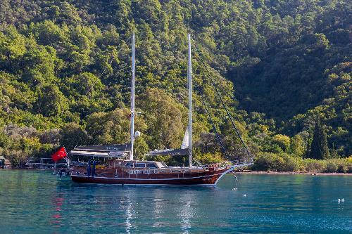 Beautifully Designed